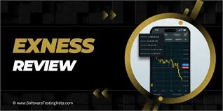 Everything You Need to Know About Exness Web-Based Mt5 Terminal Everything You Need to Know About Exness Web-Based Mt5 Terminal