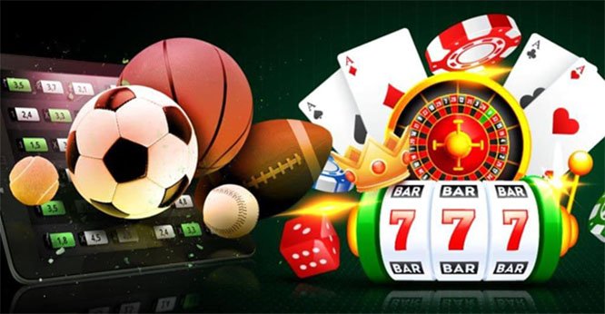Live Results & Statistics - The Ultimate Guide for Sports Enthusiasts Live Results & Statistics - The Ultimate Guide for Sports Enthusiasts
