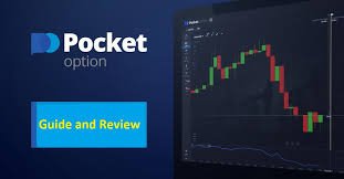 Understanding the Pocket Option Platform