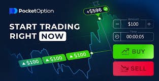 Understanding the Pocket Option Platform