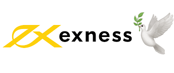 Complete Guide to Exness MT4 PC Download 13