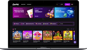 Everything You Need to Know About Casiny Login 0