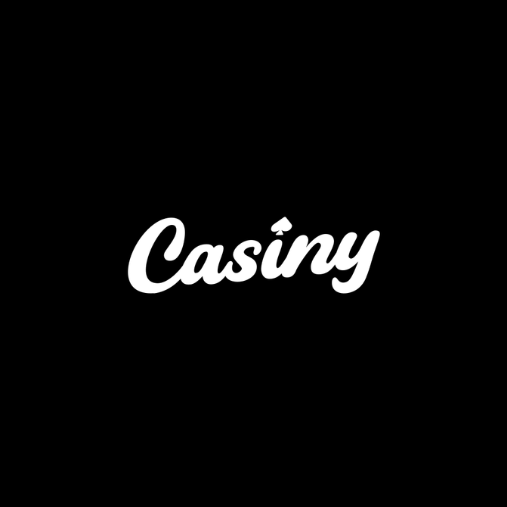 Everything You Need to Know About Casiny Login 0