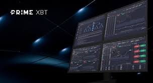 Exploring the Benefits of PrimeXBT Traders