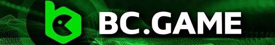 Experience the Best at BC.Game Online Casino