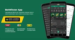 Experience the Thrill of BetWinner Aviator Unleash Your Winning Potential