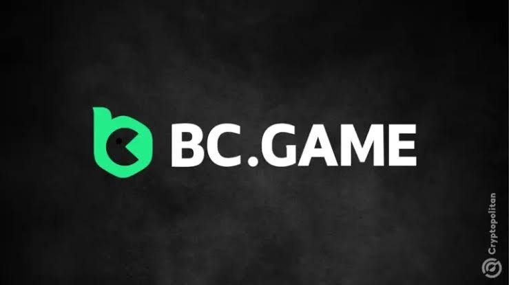 Exploring BC.Game Payment Methods Fast, Secure, and Diverse Options