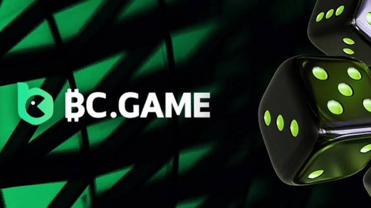 Exploring BC.Game Payment Methods Fast, Secure, and Diverse Options
