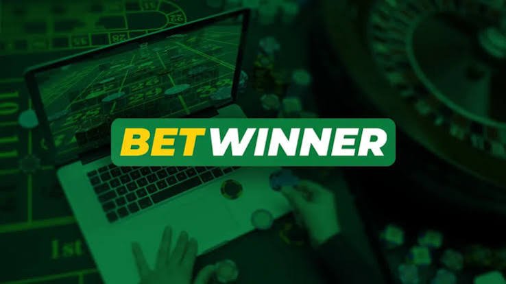 Understanding BetWinner Bonus Terms and Conditions Understanding BetWinner Bonus Terms and Conditions