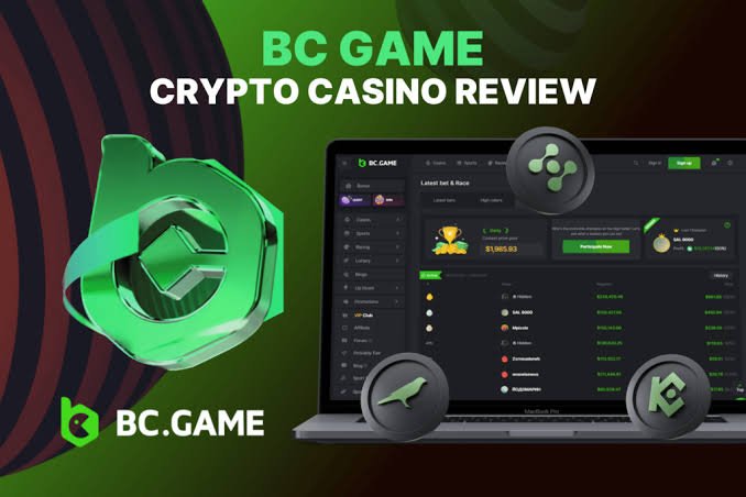 Complete Guide to BC.Game Pakistan Registration Process